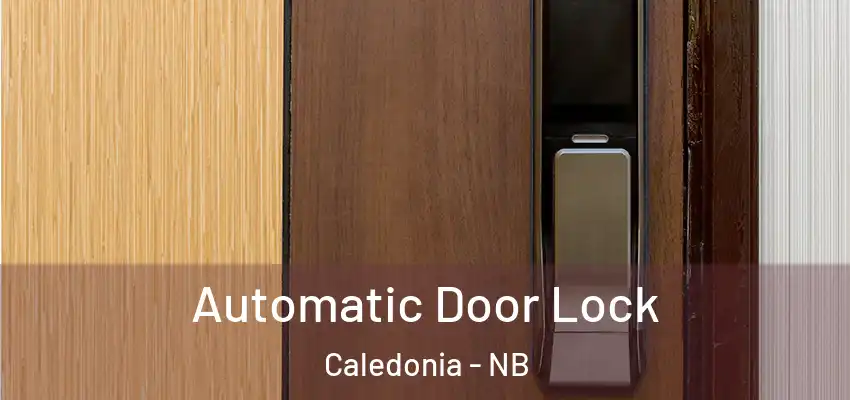 Automatic Door Lock Caledonia - NB