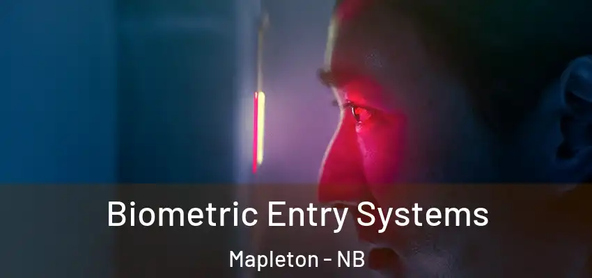 Biometric Entry Systems Mapleton - NB