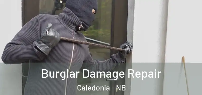 Burglar Damage Repair Caledonia - NB
