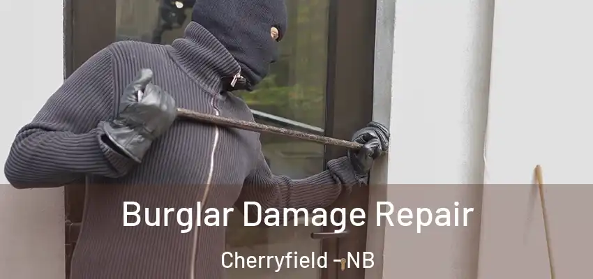 Burglar Damage Repair Cherryfield - NB