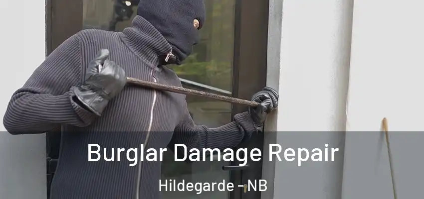 Burglar Damage Repair Hildegarde - NB