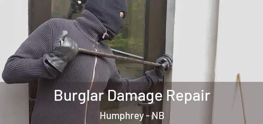 Burglar Damage Repair Humphrey - NB