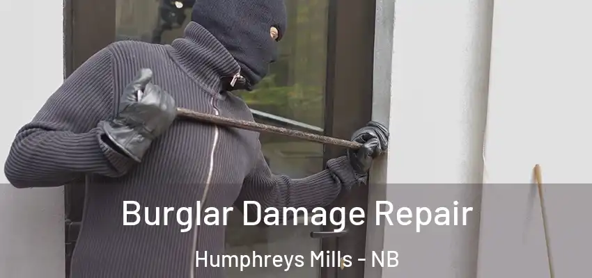 Burglar Damage Repair Humphreys Mills - NB