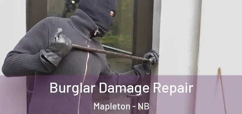 Burglar Damage Repair Mapleton - NB