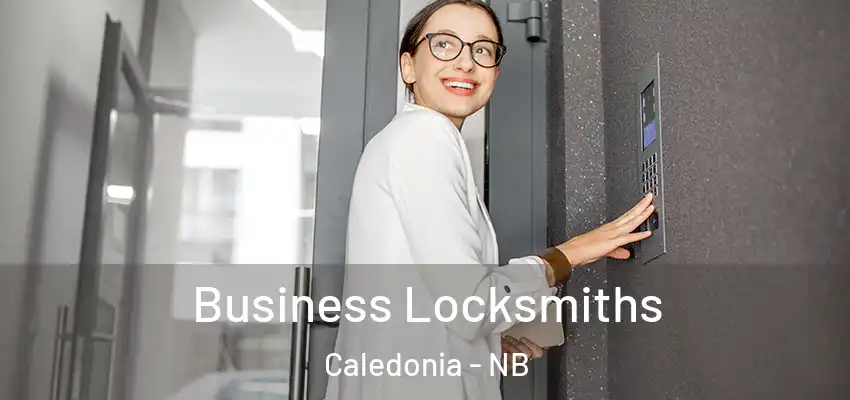 Business Locksmiths Caledonia - NB