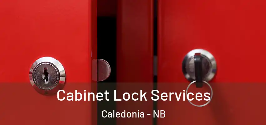 Cabinet Lock Services Caledonia - NB
