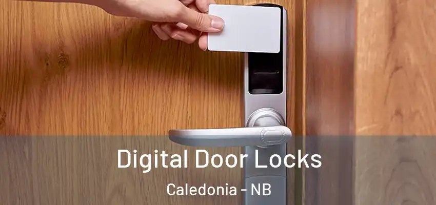 Digital Door Locks Caledonia - NB