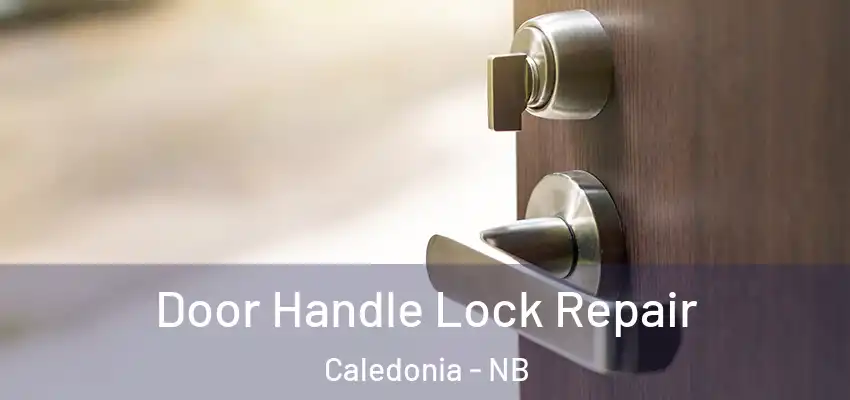 Door Handle Lock Repair Caledonia - NB
