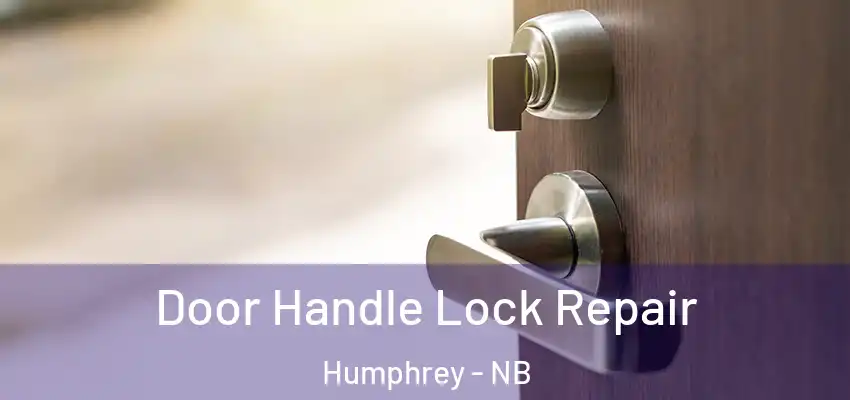 Door Handle Lock Repair Humphrey - NB
