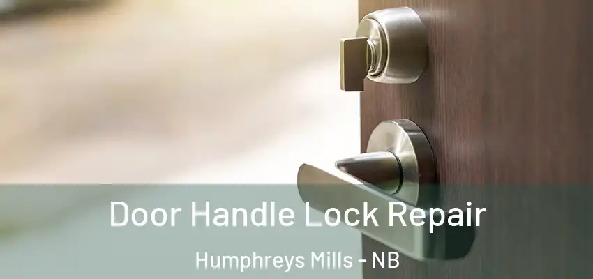 Door Handle Lock Repair Humphreys Mills - NB