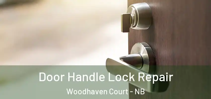 Door Handle Lock Repair Woodhaven Court - NB