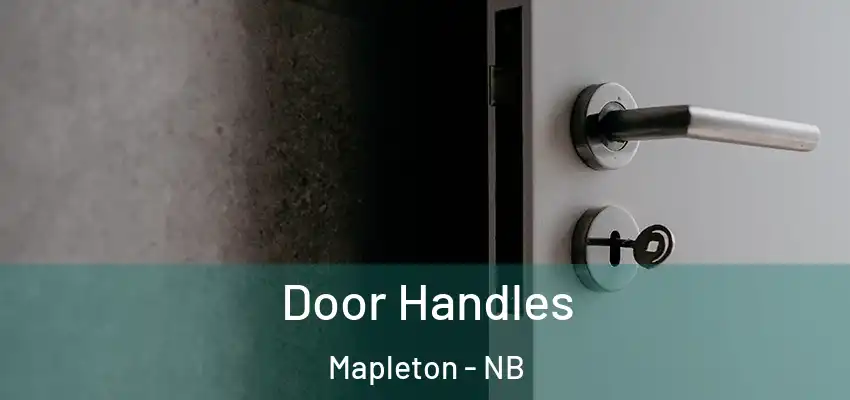 Door Handles Mapleton - NB