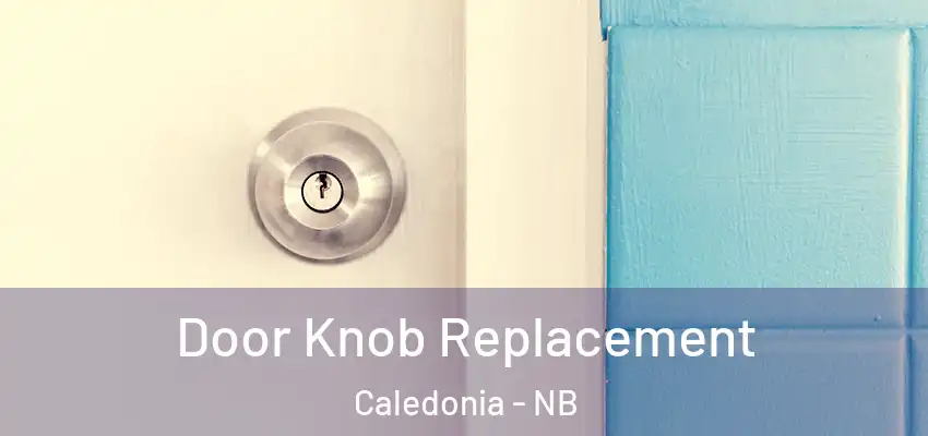 Door Knob Replacement Caledonia - NB