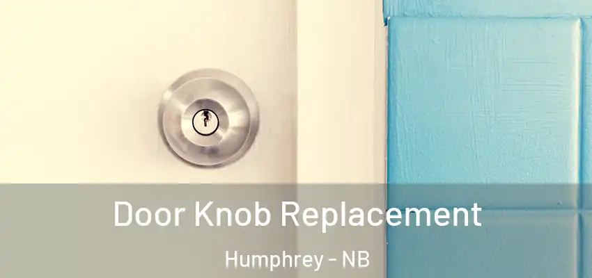 Door Knob Replacement Humphrey - NB