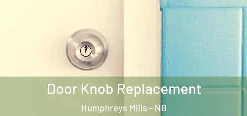 Door Knob Replacement Humphreys Mills - NB