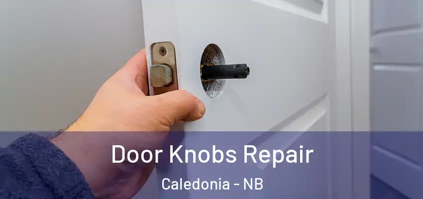 Door Knobs Repair Caledonia - NB