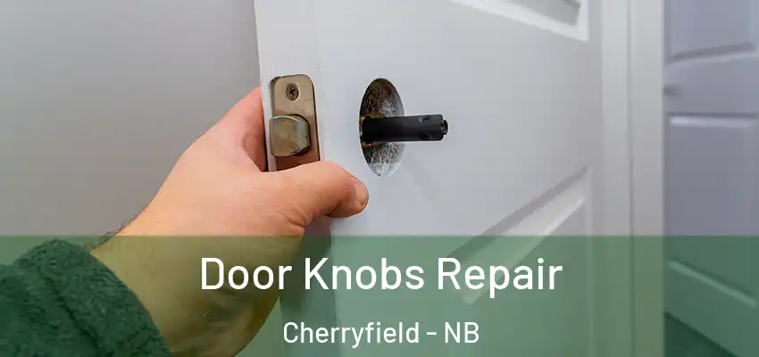 Door Knobs Repair Cherryfield - NB