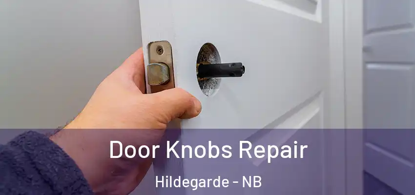 Door Knobs Repair Hildegarde - NB
