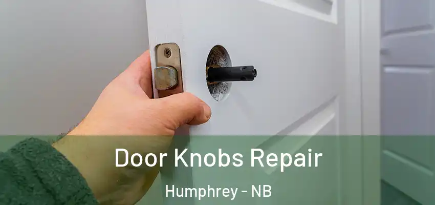 Door Knobs Repair Humphrey - NB