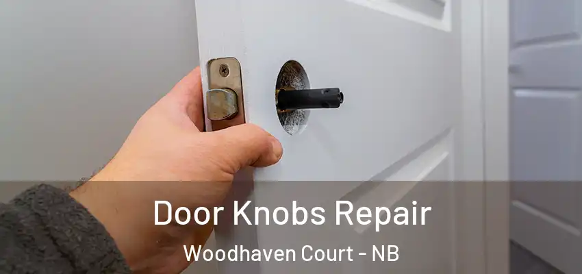 Door Knobs Repair Woodhaven Court - NB