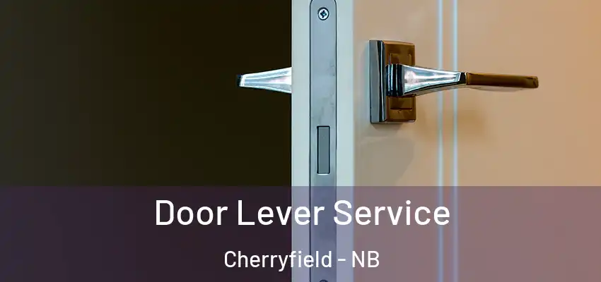 Door Lever Service Cherryfield - NB
