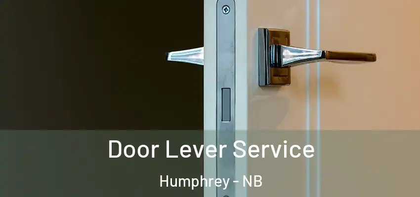 Door Lever Service Humphrey - NB