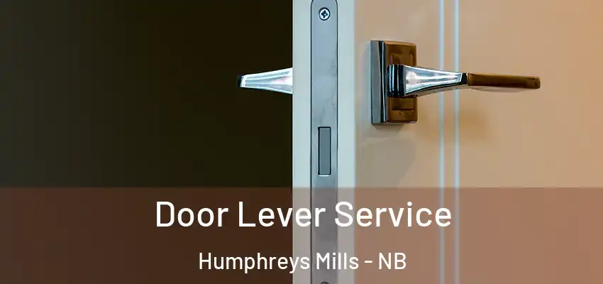 Door Lever Service Humphreys Mills - NB