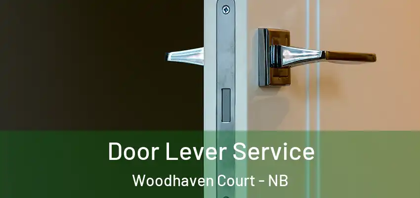 Door Lever Service Woodhaven Court - NB