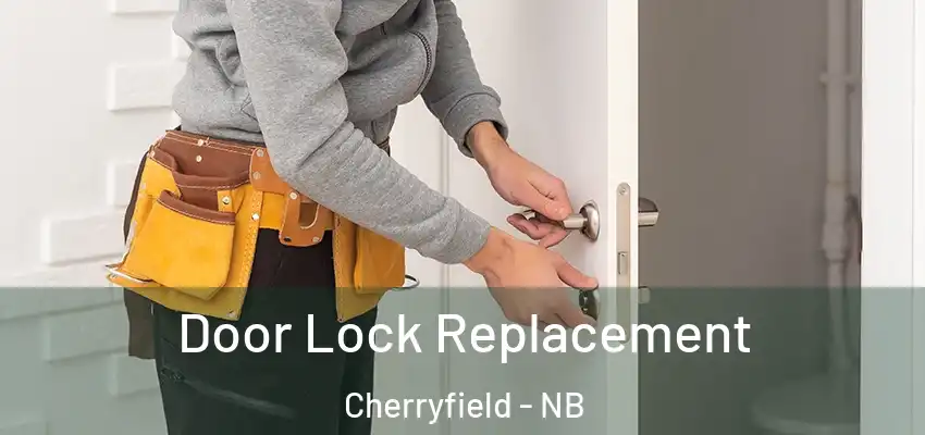  Door Lock Replacement Cherryfield - NB