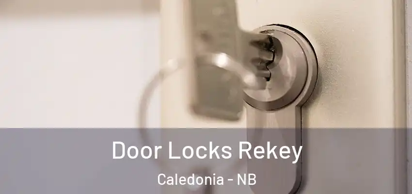 Door Locks Rekey Caledonia - NB