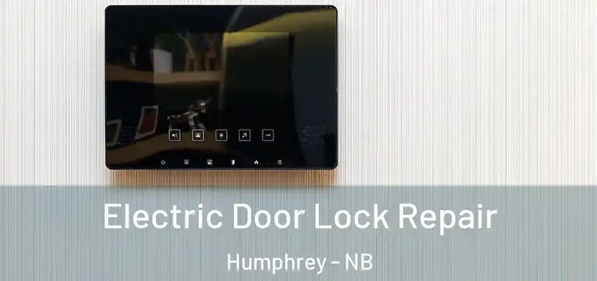 Electric Door Lock Repair Humphrey - NB