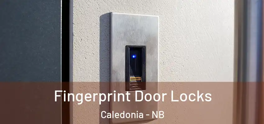 Fingerprint Door Locks Caledonia - NB