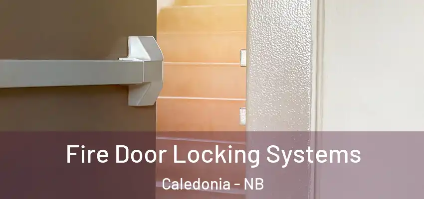 Fire Door Locking Systems Caledonia - NB