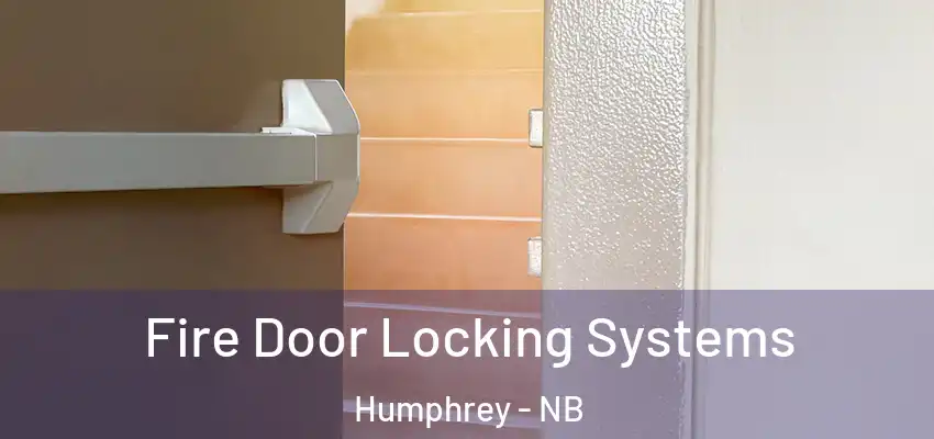 Fire Door Locking Systems Humphrey - NB