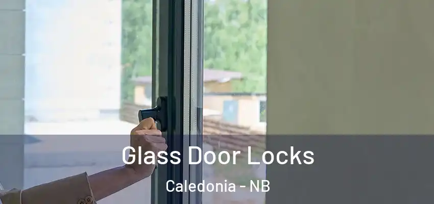 Glass Door Locks Caledonia - NB