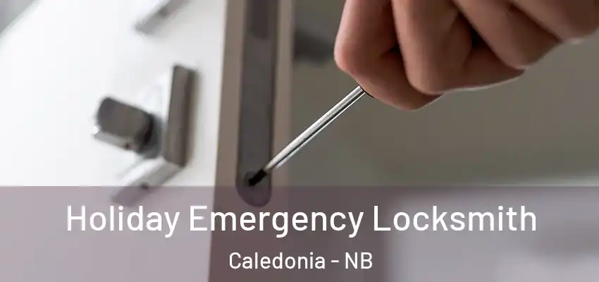 Holiday Emergency Locksmith Caledonia - NB