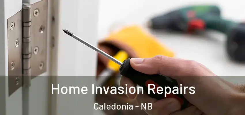 Home Invasion Repairs Caledonia - NB