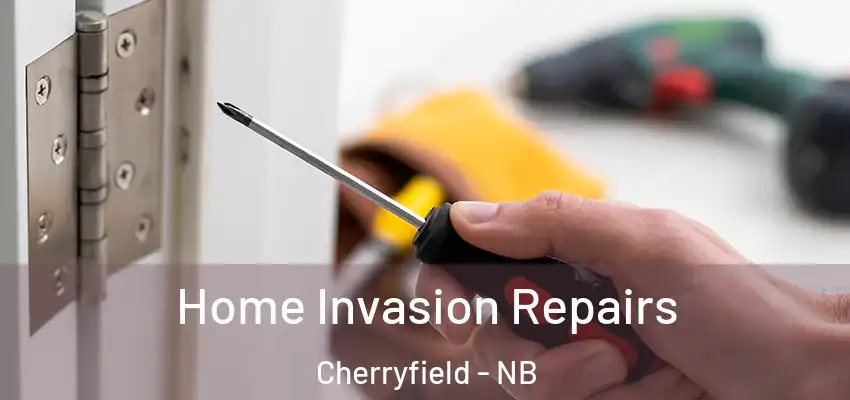 Home Invasion Repairs Cherryfield - NB