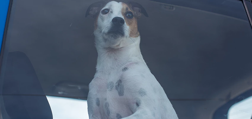 Car Lockout Solutions in Moncton, NB