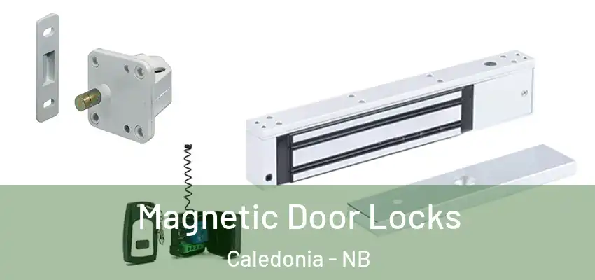 Magnetic Door Locks Caledonia - NB
