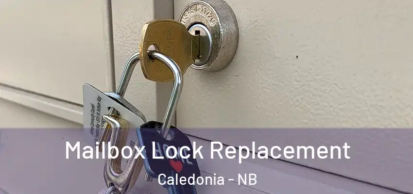 Mailbox Lock Replacement Caledonia - NB
