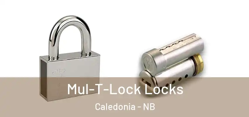 Mul-T-Lock Locks Caledonia - NB