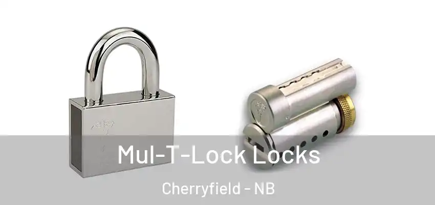 Mul-T-Lock Locks Cherryfield - NB