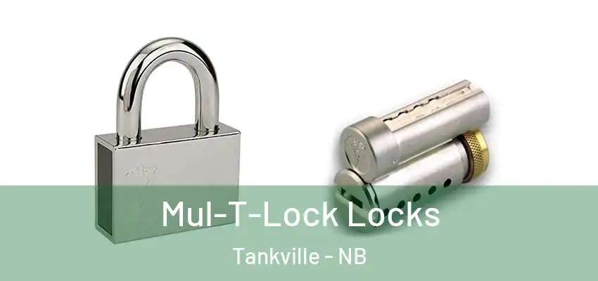  Mul-T-Lock Locks Tankville - NB