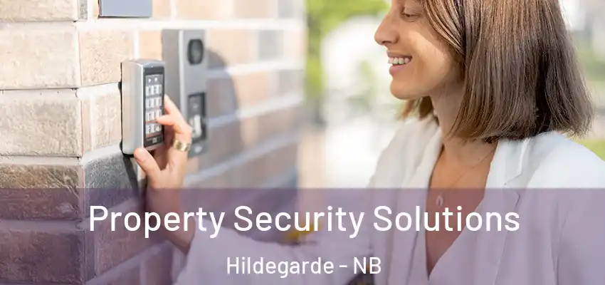 Property Security Solutions Hildegarde - NB