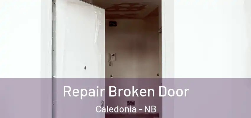Repair Broken Door Caledonia - NB