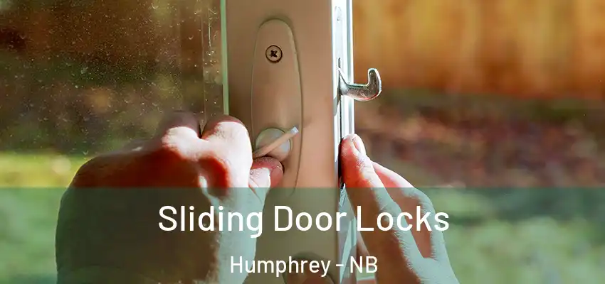 Sliding Door Locks Humphrey - NB